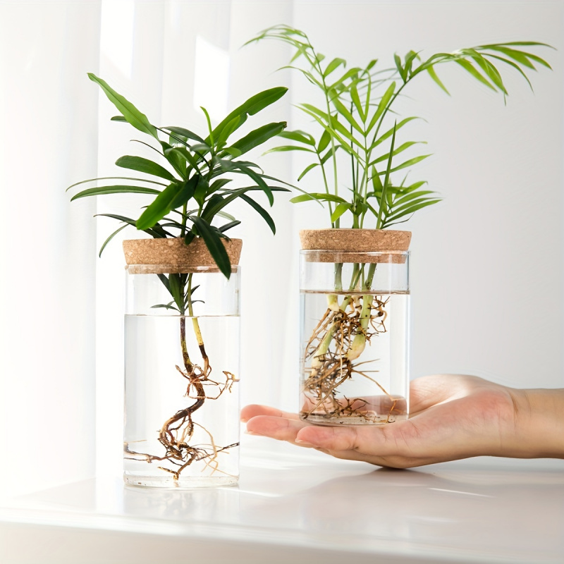 Propagation Station Vase - 1szt, hydroponika rośliny pulpit szklany wazon