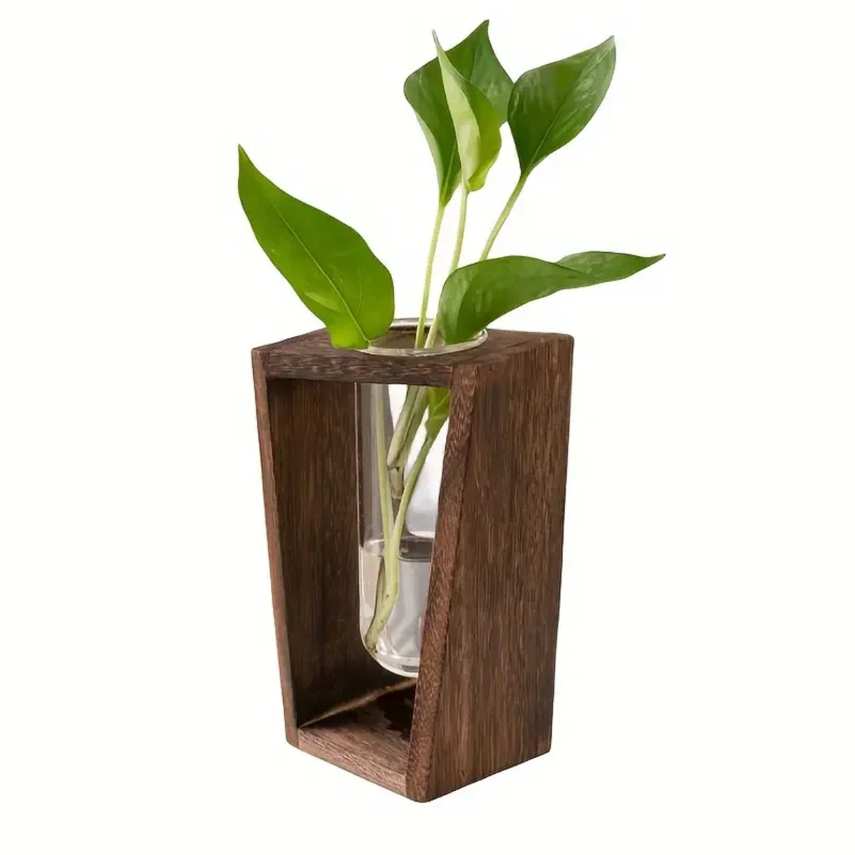 Propagation Station Vase - Stacja do rozmnażania roślin, hydroponiczny wazon,