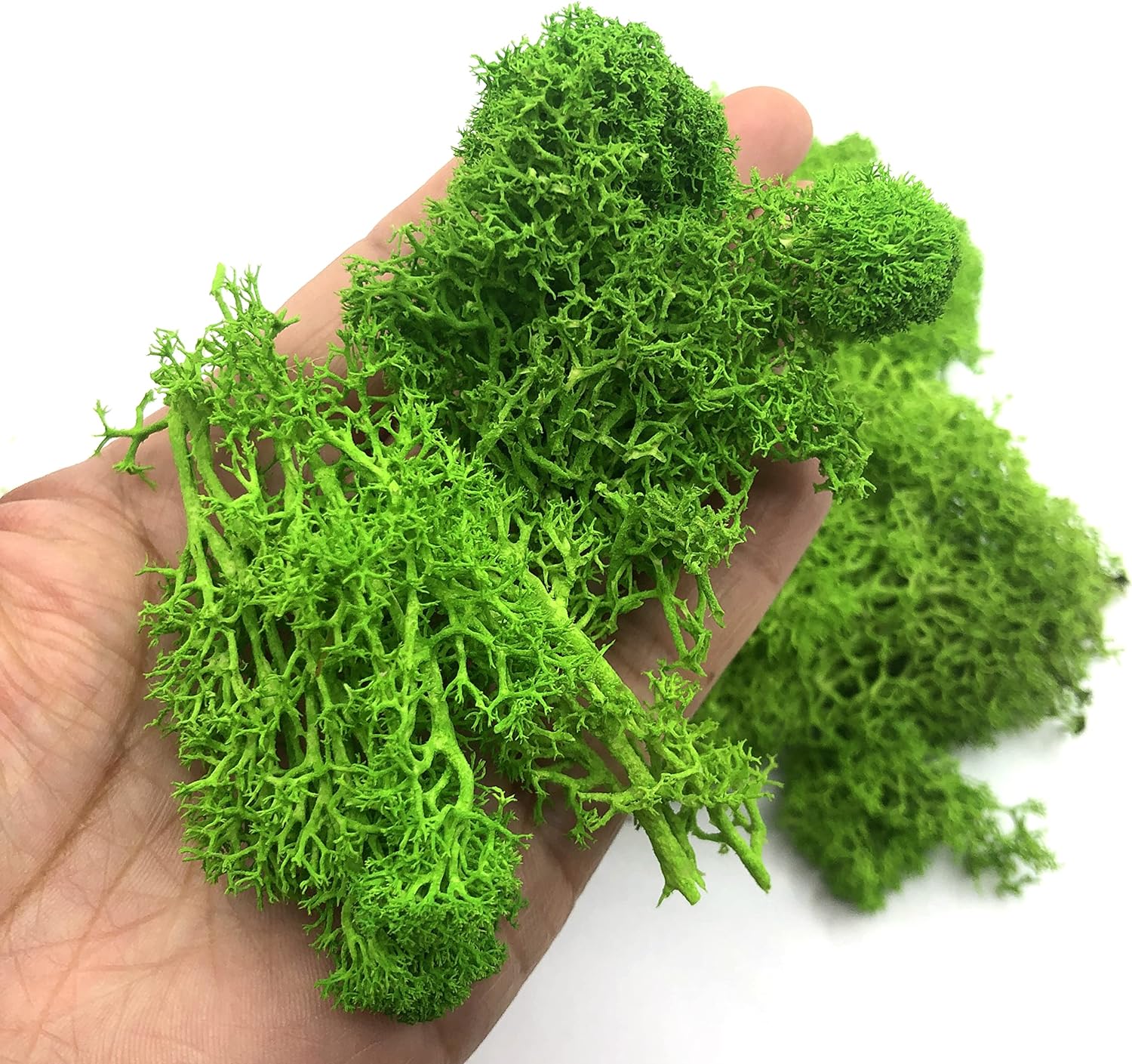 Sphagnum Moss Dry - 200g Sztuczne rośliny zielone Mini krajobraz