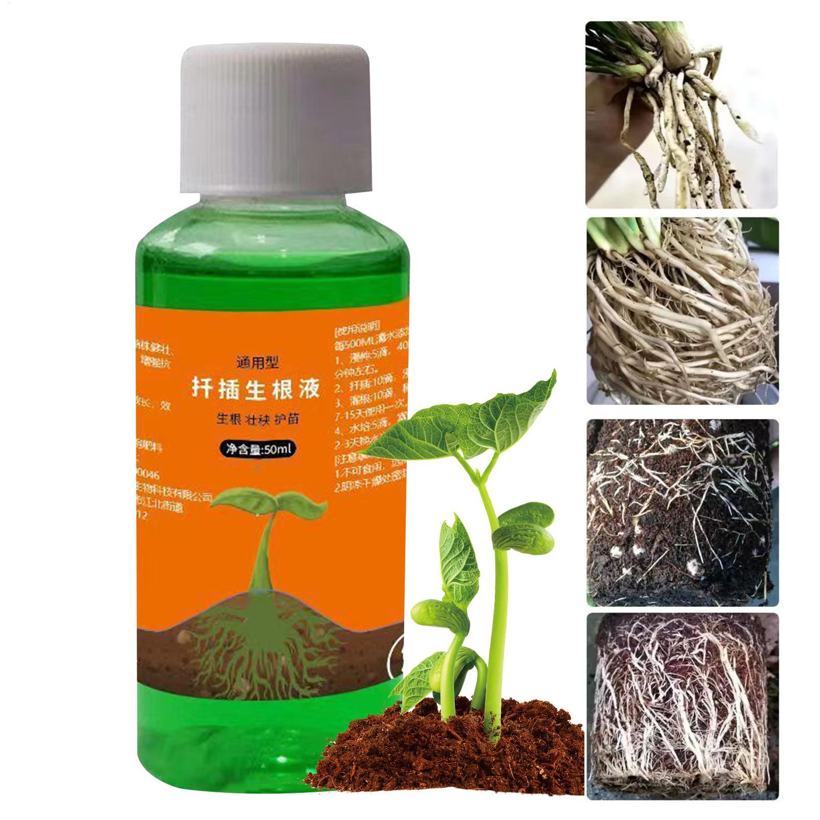 Root Stimulator Liquid - 50ml Roztwór odżywczy do przesadzania roślin,
