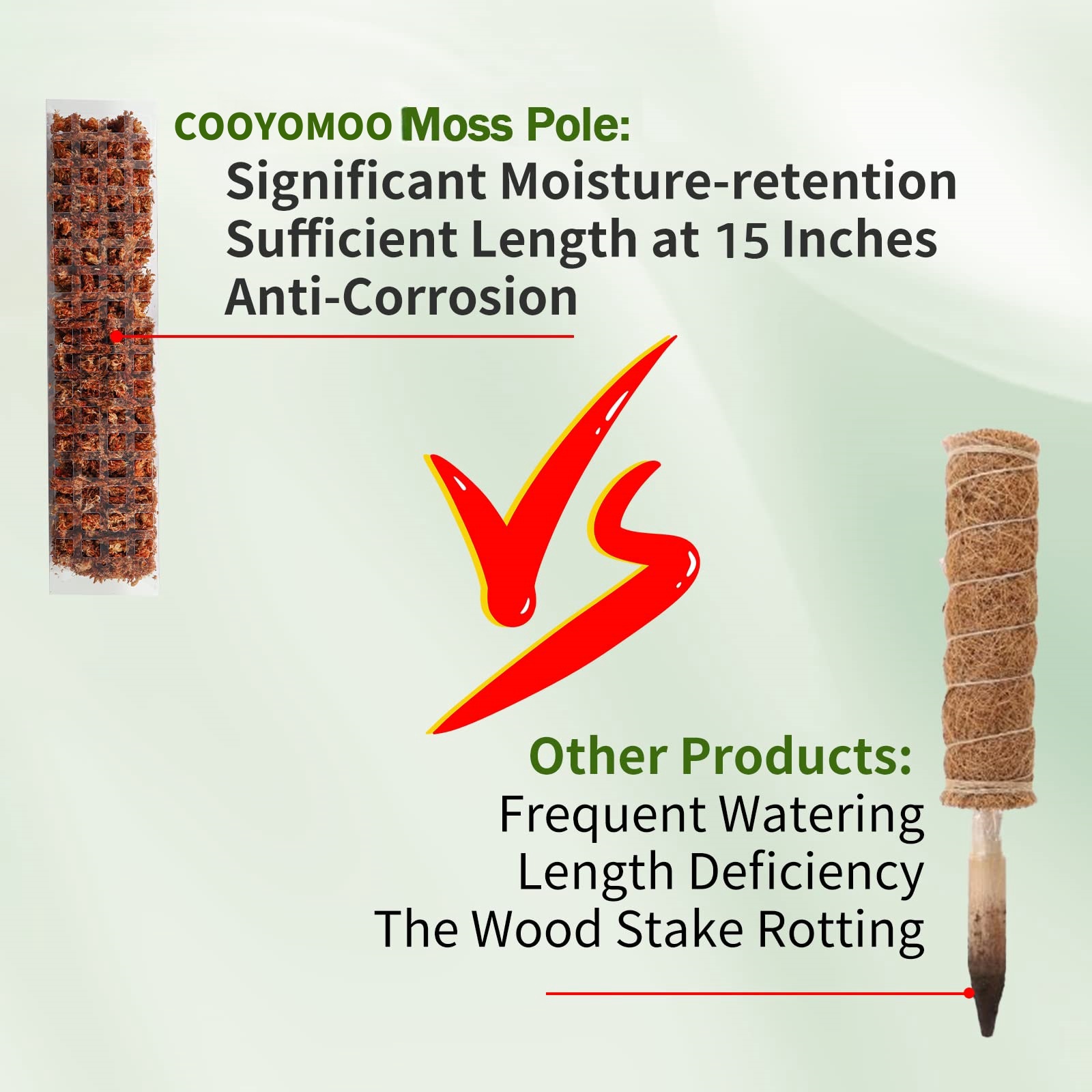 Moss Poles Plants Plant Suppor – Sphagnum Moss Dry recenzja i cena