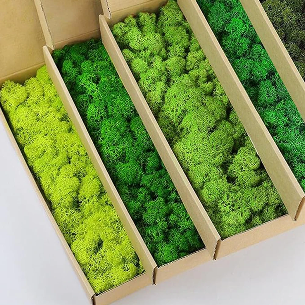20-200g Sztuczne rośliny zielo – Sphagnum Moss Dry recenzja i cena