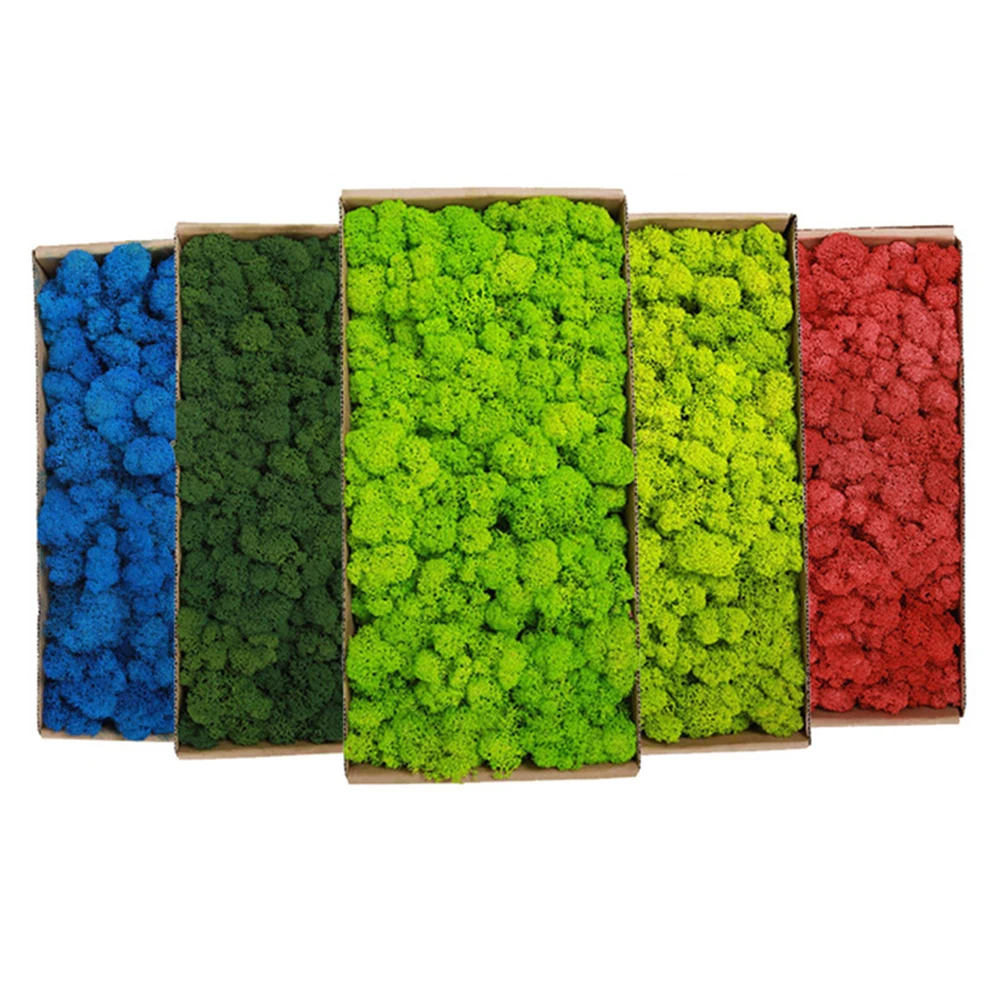 20-200g Sztuczne rośliny zielo – Sphagnum Moss Dry recenzja i cena