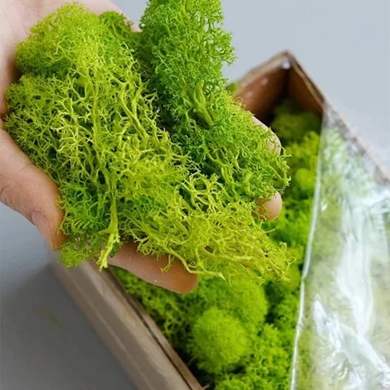 20-200g Sztuczne rośliny zielo – Sphagnum Moss Dry recenzja i cena