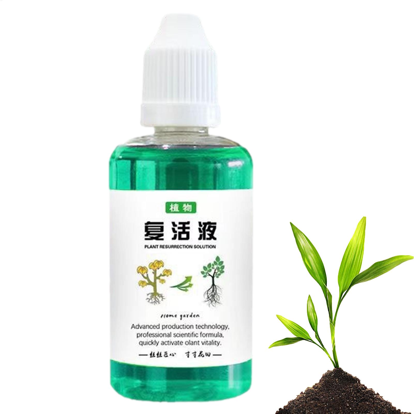 50ml Stymulator Korzeni Płyn d – Root Stimulator Liquid recenzja i cena