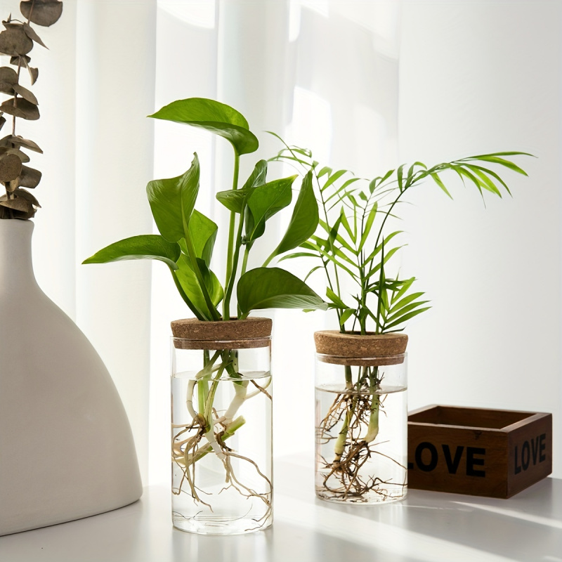 1szt, hydroponika rośliny pulp – Propagation Station Vase recenzja i cena