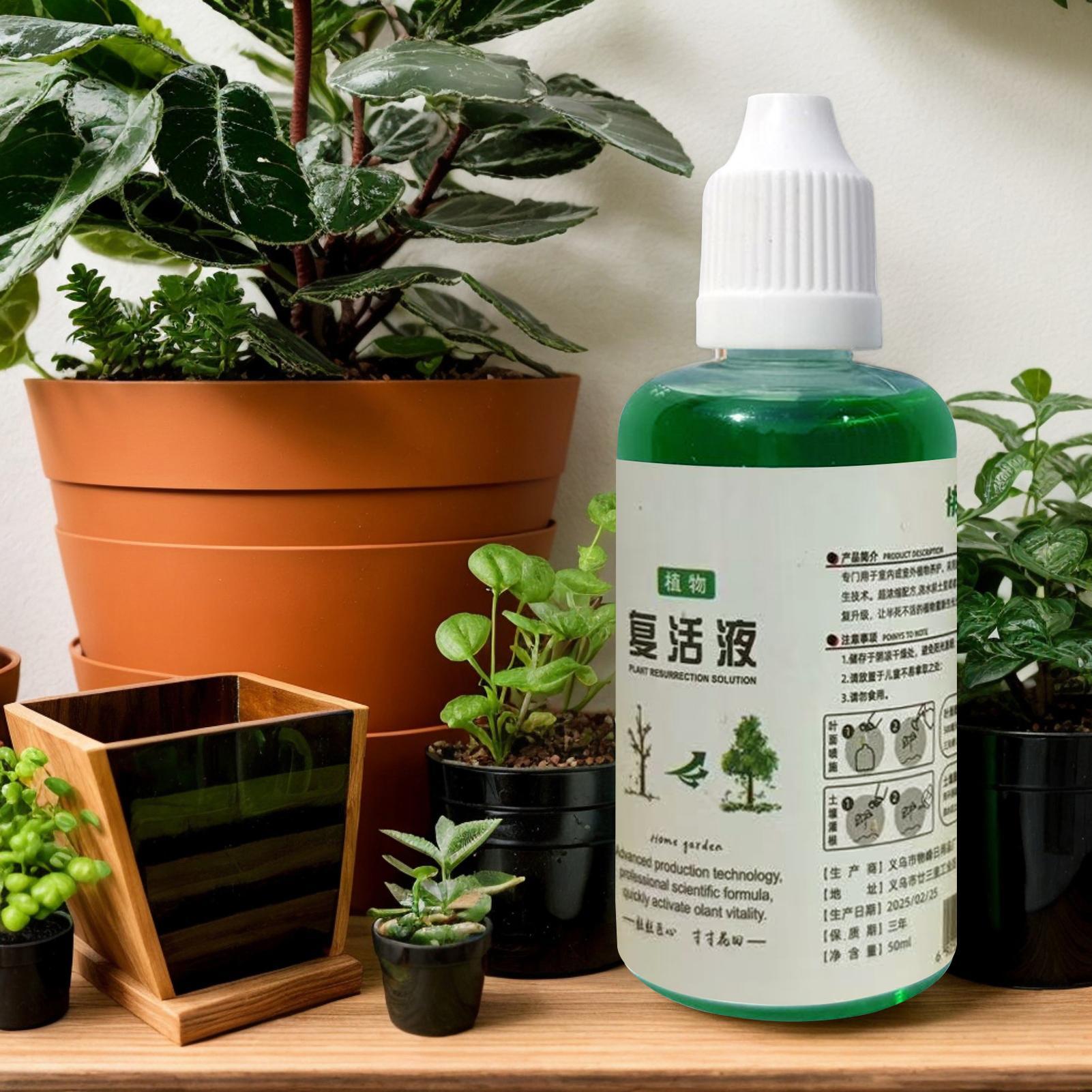 Stymulator wzrostu korzeni dla – Root Stimulator Liquid recenzja i cena