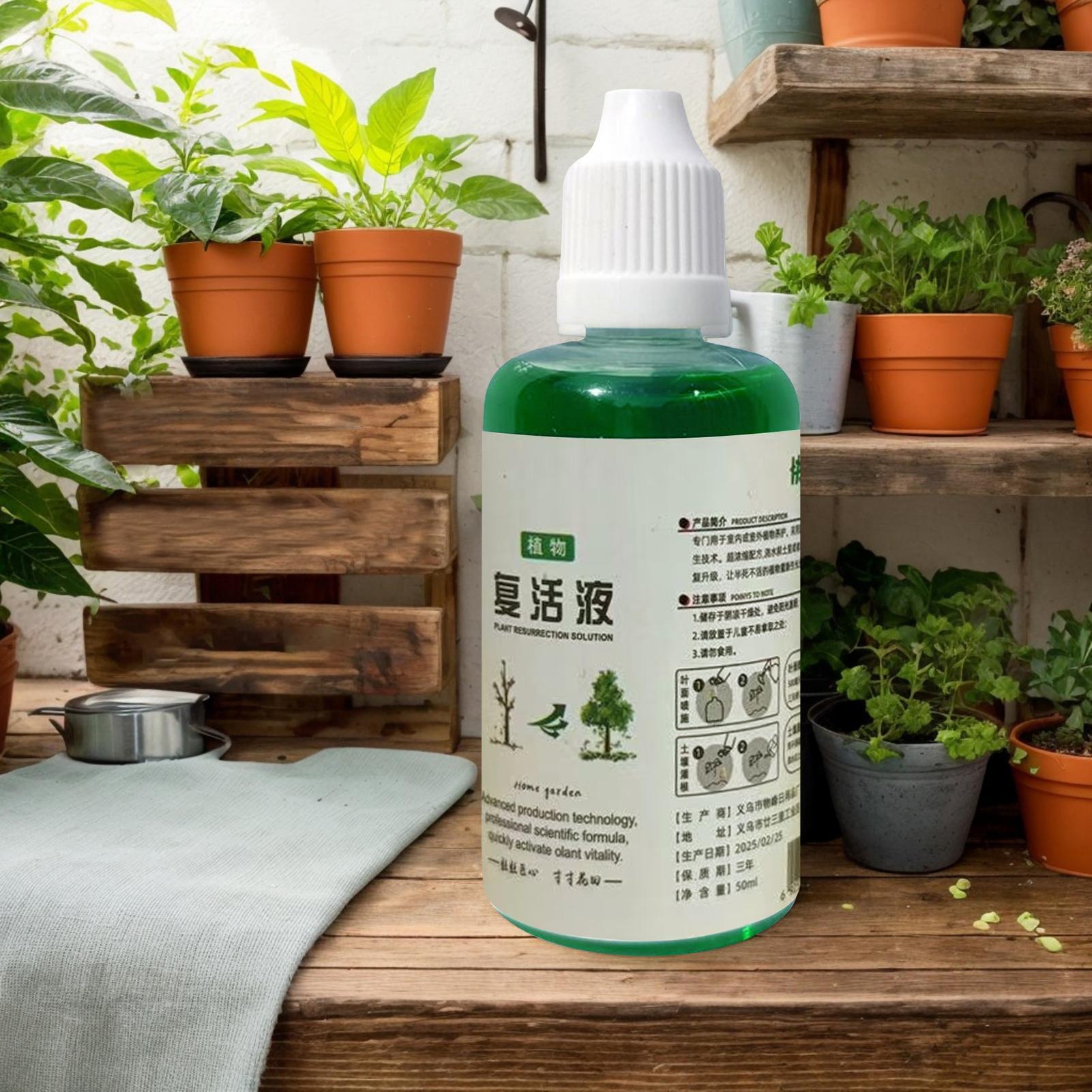 Stymulator wzrostu korzeni dla – Root Stimulator Liquid recenzja i cena