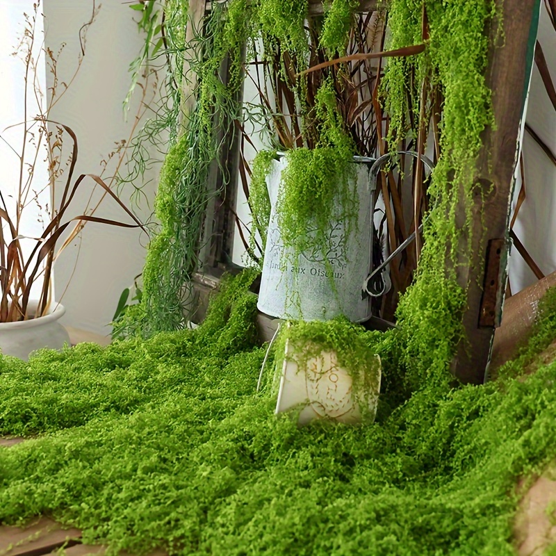 1 paczka sztuczny sztuczny mec – Sphagnum Moss Dry recenzja i cena