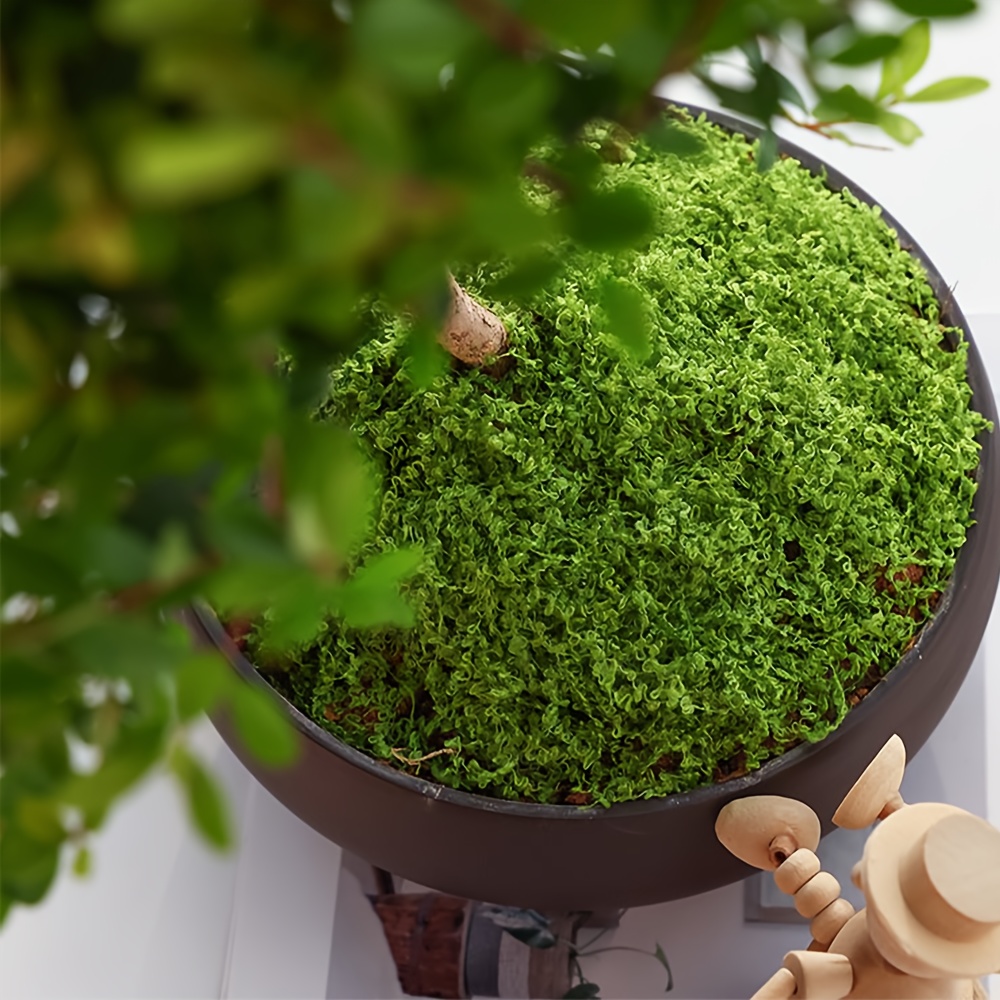 1 paczka sztuczny sztuczny mec – Sphagnum Moss Dry recenzja i cena