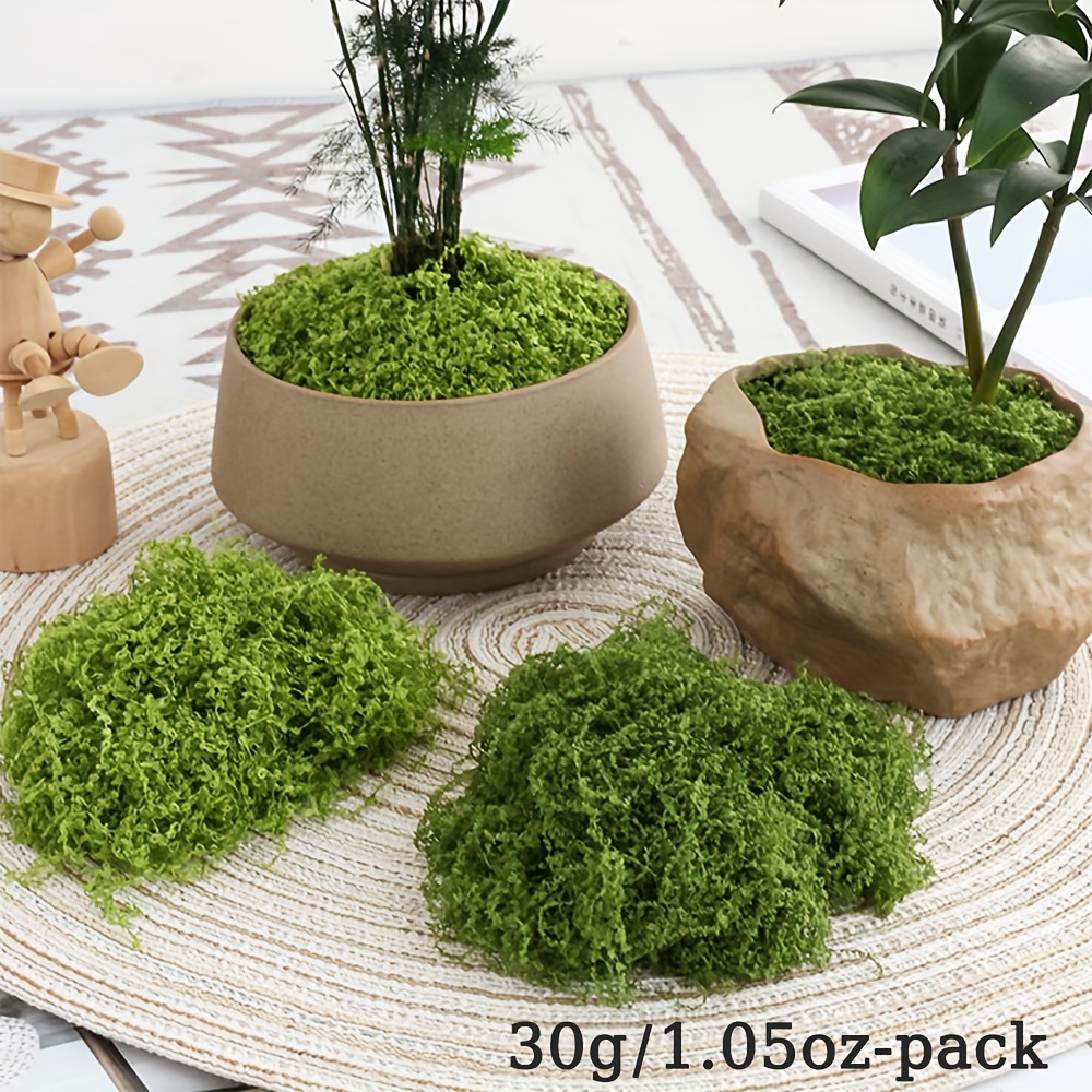 1 paczka sztuczny sztuczny mec – Sphagnum Moss Dry recenzja i cena