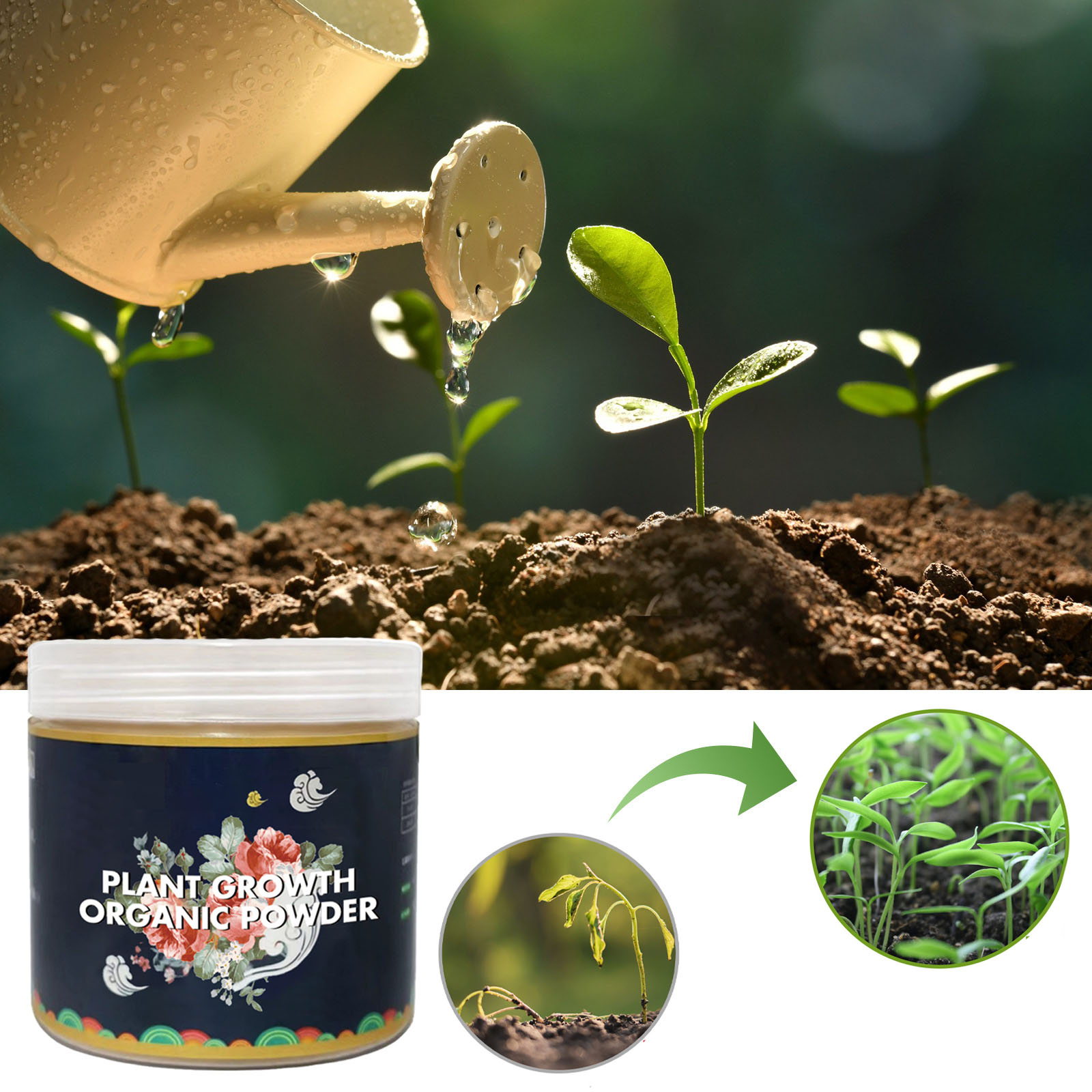 Proszek do szybkiego ukorzenia – Rooting Hormone Powder recenzja i cena