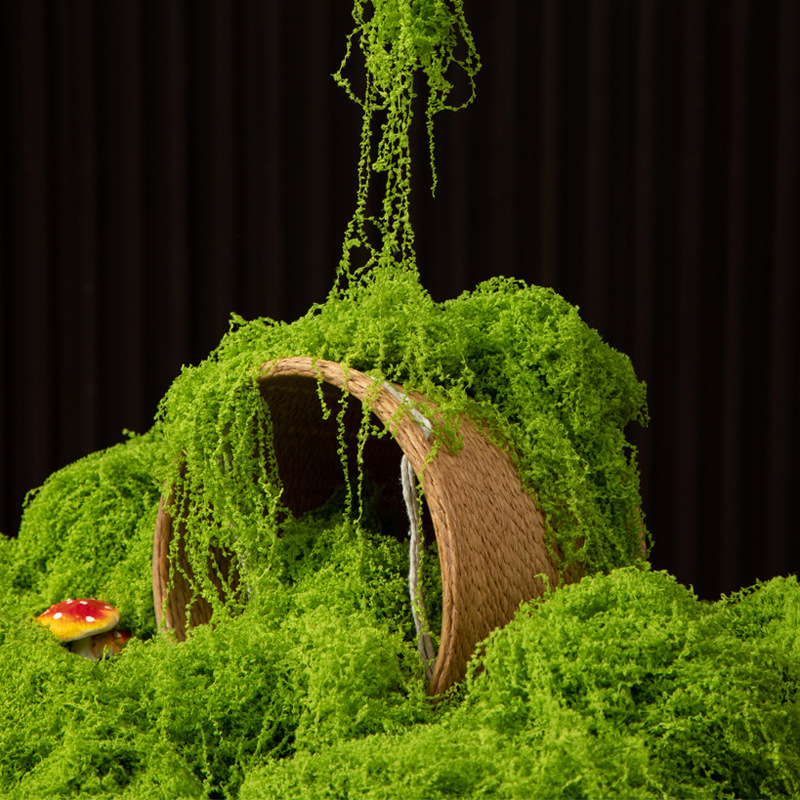 200g Mech Wiecznego Życia DIY  – Sphagnum Moss Dry recenzja i cena