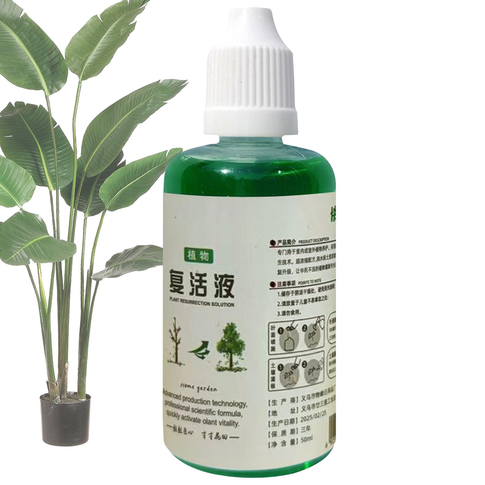 Stymulator Ukorzeniania Płyn d – Root Stimulator Liquid recenzja i cena