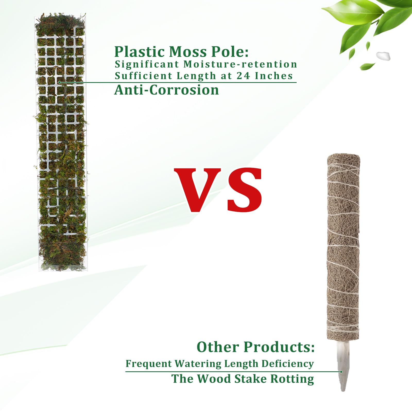 Słup mchu Plastikowy stojak na – Sphagnum Moss Dry recenzja i cena