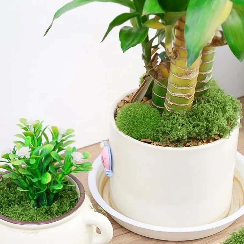 30/300G Sztuczny Realistyczny  – Sphagnum Moss Dry recenzja i cena