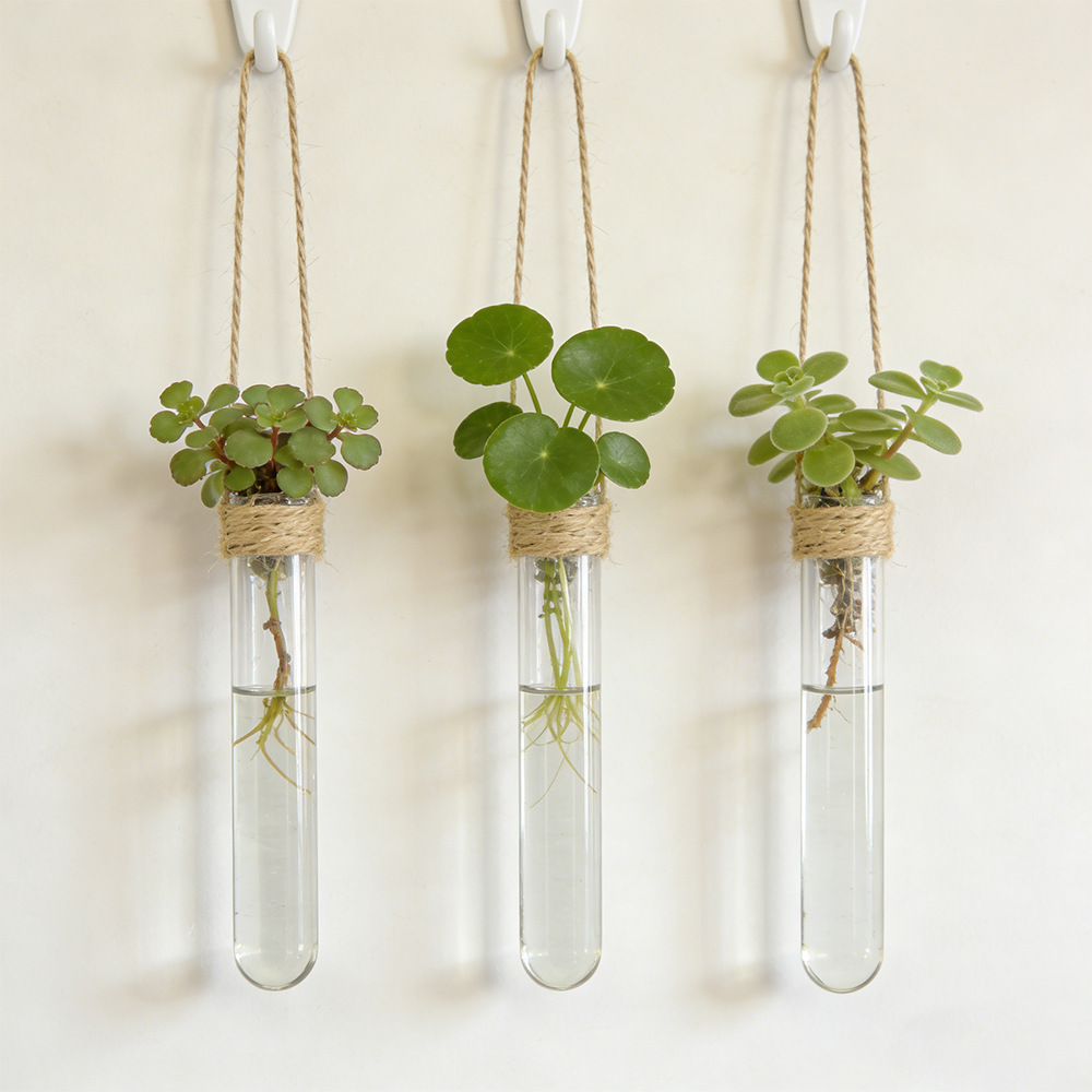 Wazon hydroponiczny do kwiatów – Propagation Station Vase recenzja i cena