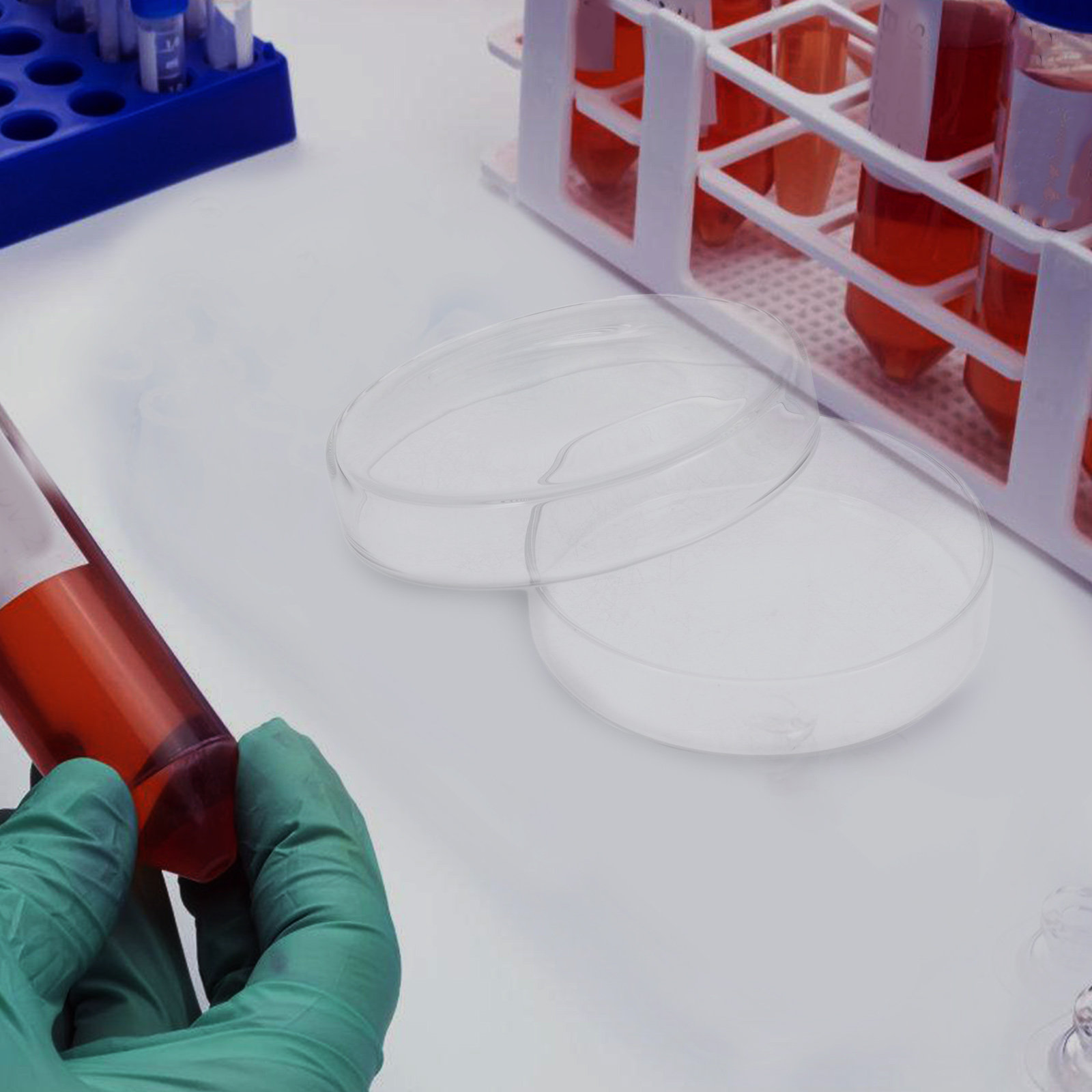 Szklana piastrzanka Petriego z – Agar Tissue Culture recenzja i cena