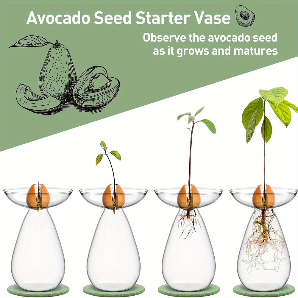 Wazon hydroponiczny do rozsady – Propagation Station Vase recenzja i cena