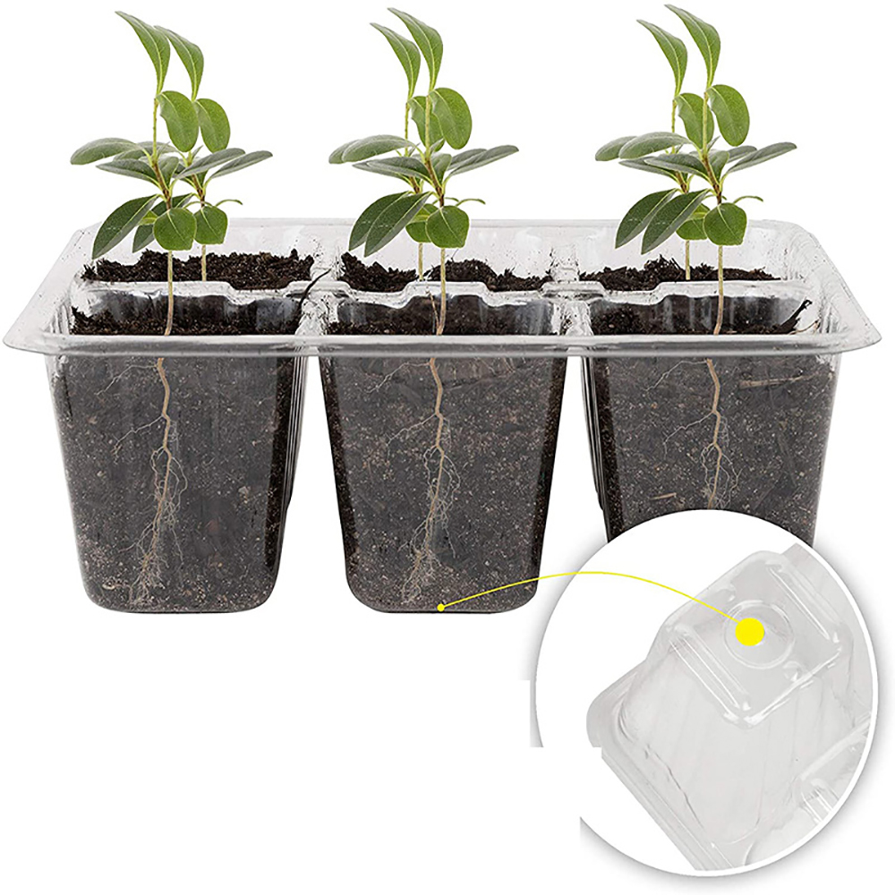 Tace startowe do nasion z oświ – Humidity Dome Kit recenzja i cena