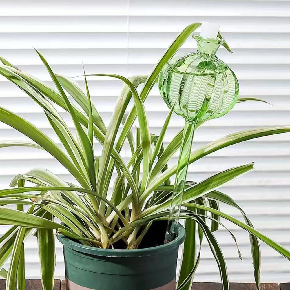Automatyczne nawadniacze do ro – Self Watering Insert recenzja i cena