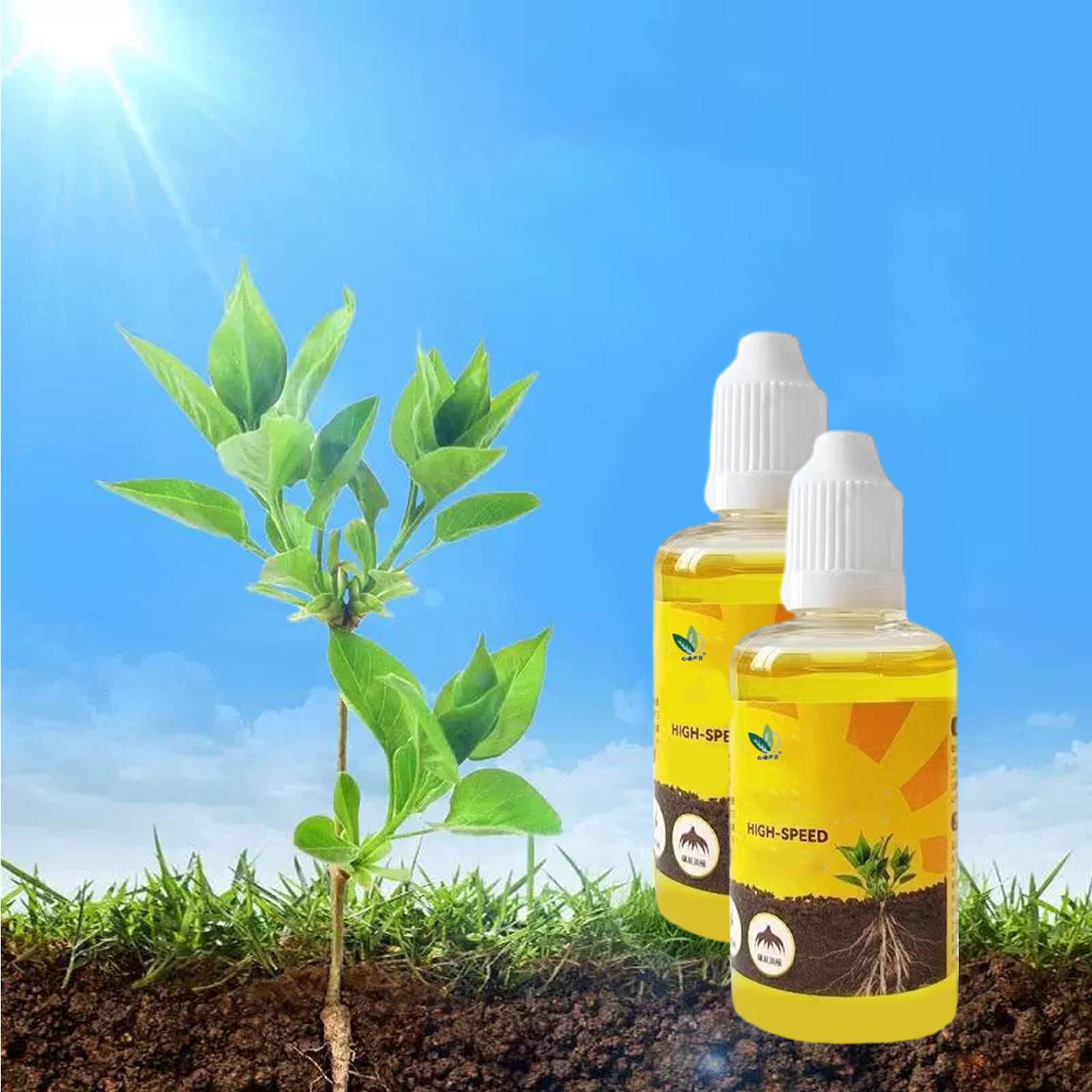 50ml Płynny Stymulator Zacinan – Rooting Hormone Powder recenzja i cena