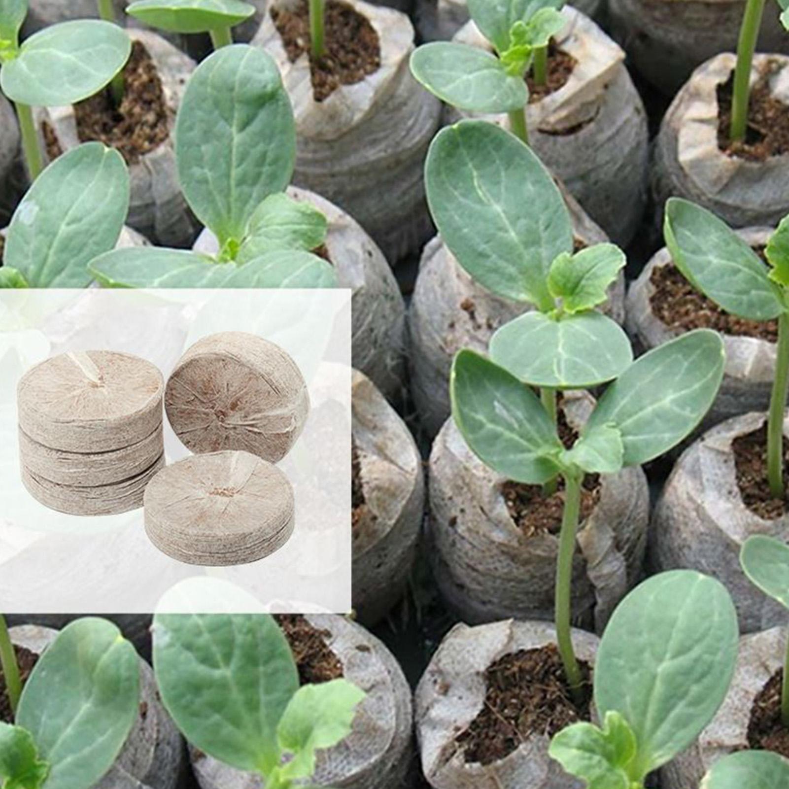 100 Sztuk Tacek z Mieszanką do – Peat Pellet Tray recenzja i cena