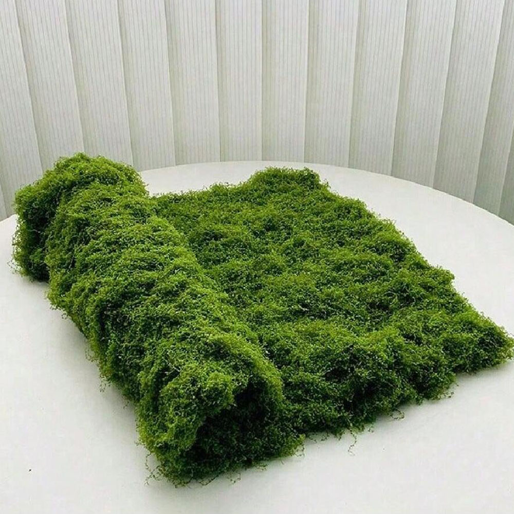 1*1m Sztuczny Mech DIY Rękodzi – Sphagnum Moss Dry recenzja i cena