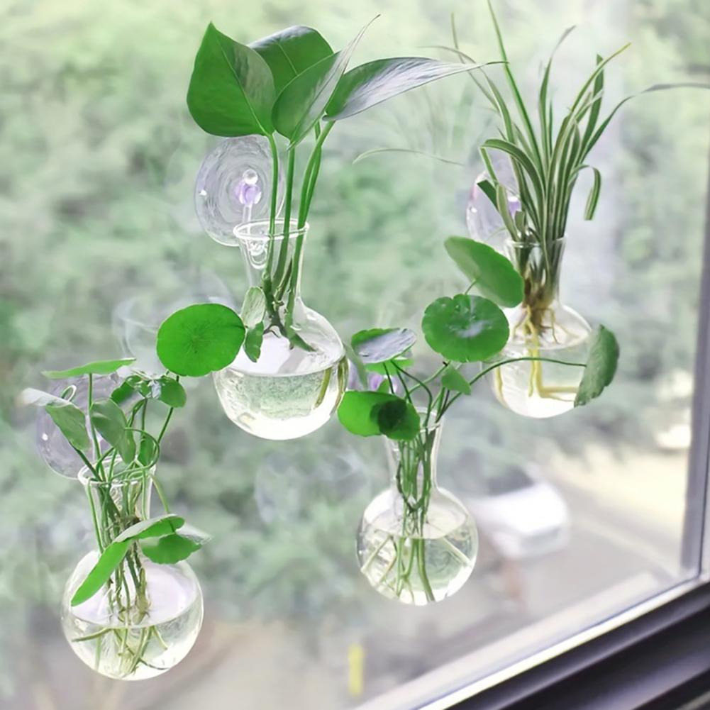 1/2/3/4/6/8 szt. Przezroczysta – Propagation Station Vase recenzja i cena