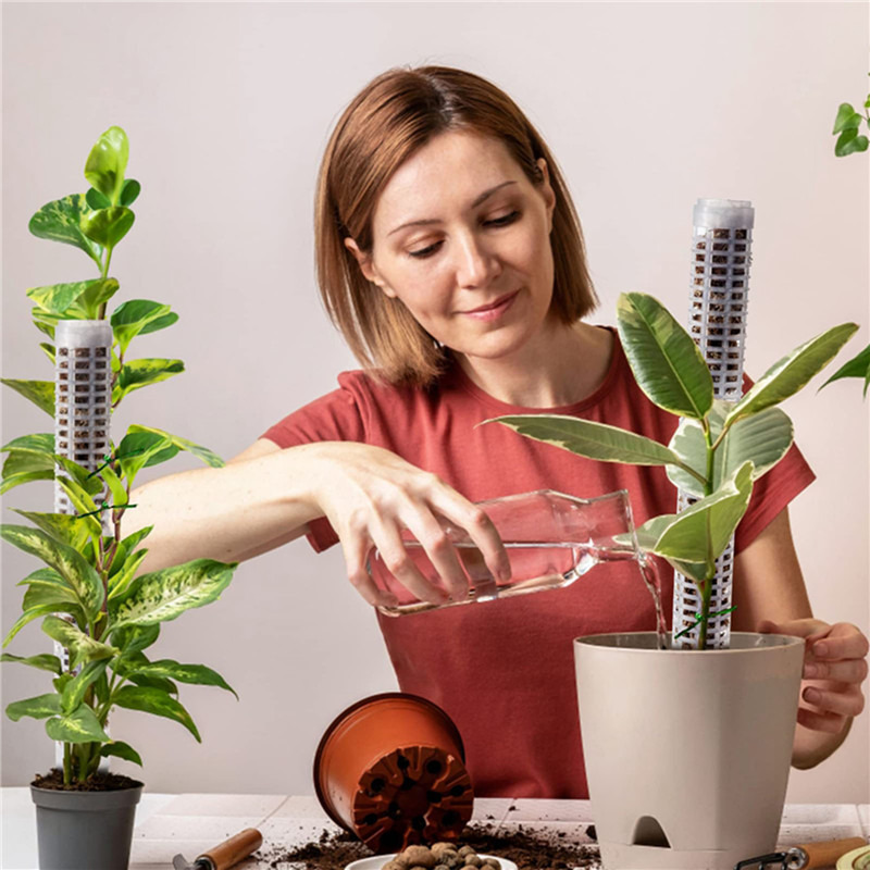 Kolumna do roślin pnących z me – Sphagnum Moss Dry recenzja i cena