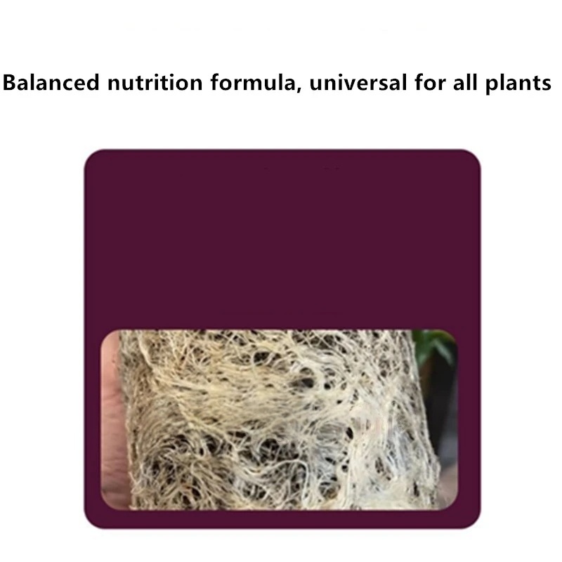 2 opakowania Hormonów Korzenio – Rooting Hormone Powder recenzja i cena