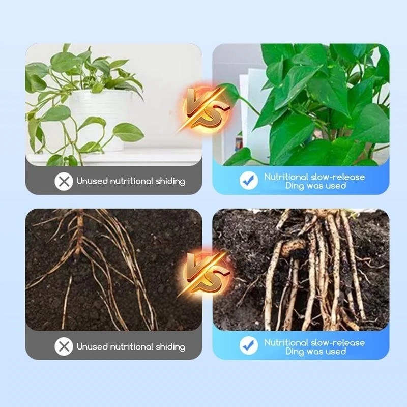 2 opakowania Hormonów Korzenio – Rooting Hormone Powder recenzja i cena