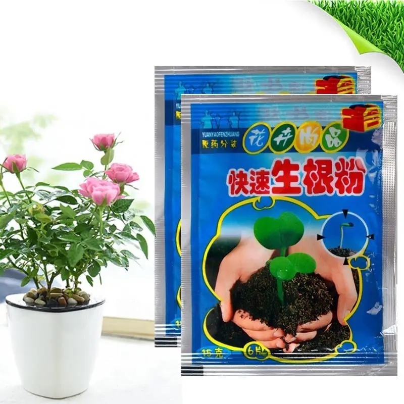 5 szt. Szybki Proszek do Zacin – Rooting Hormone Powder recenzja i cena
