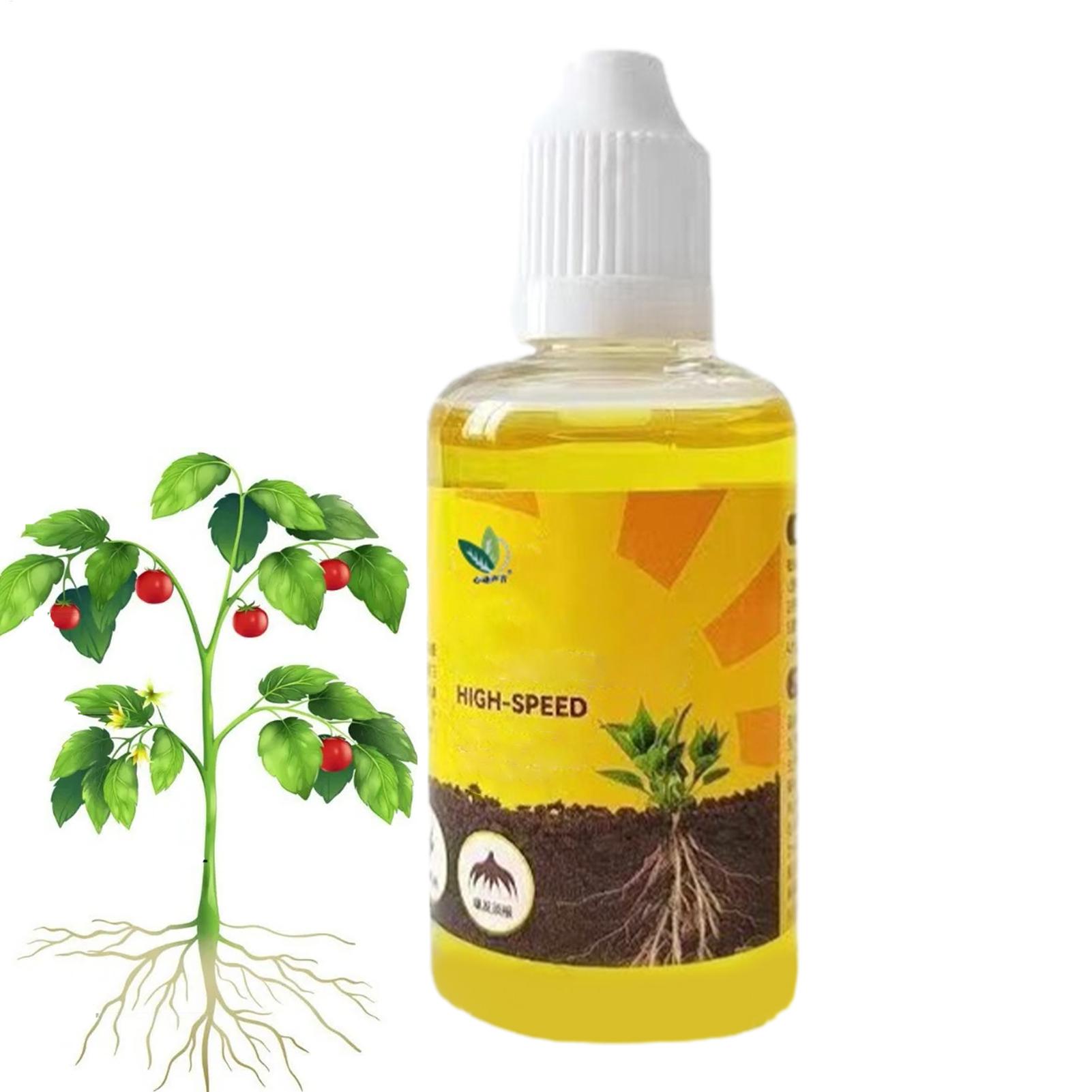Szybki rozkwiet i wzrost korze – Root Stimulator Liquid recenzja i cena