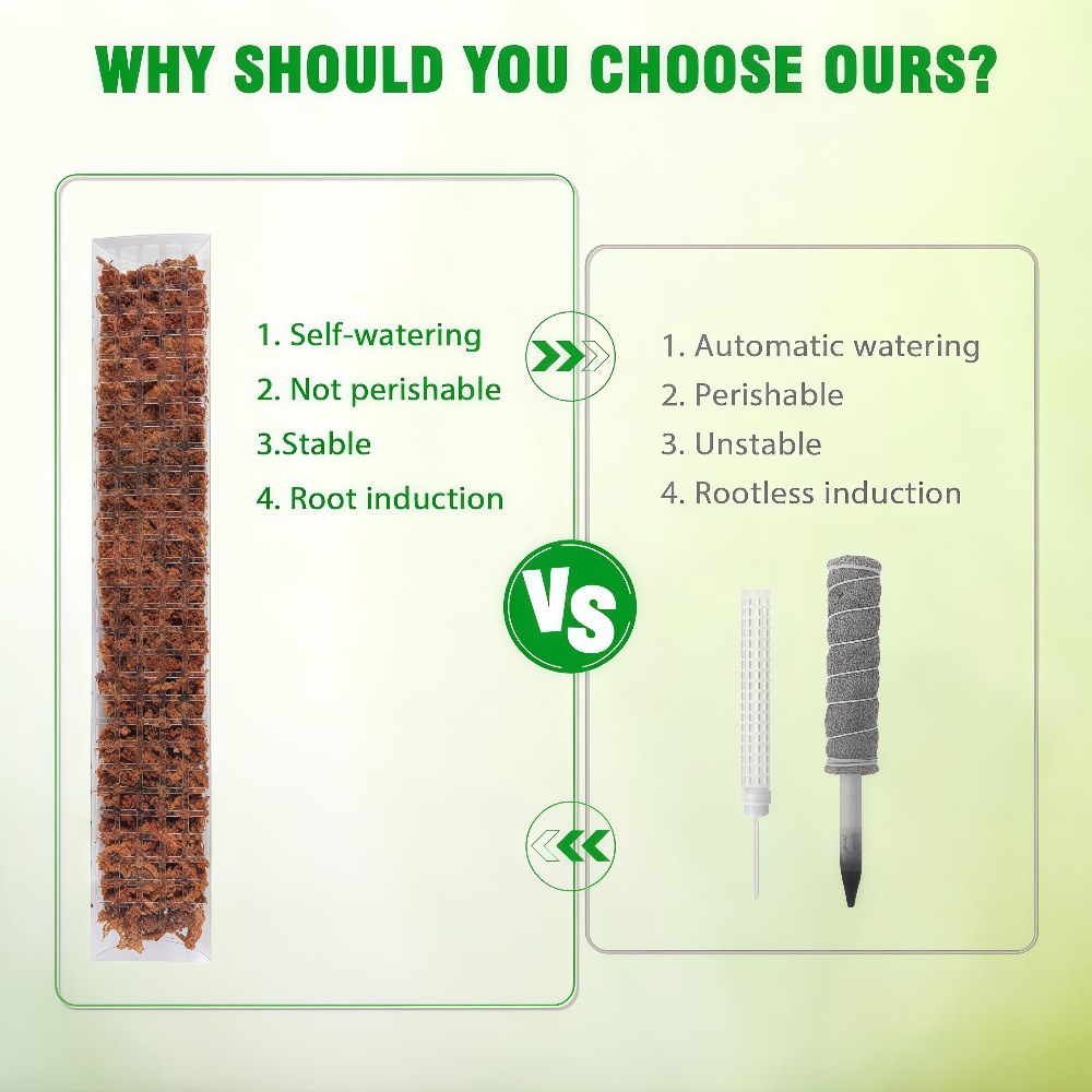 Plastikowy stojak na rośliny p – Sphagnum Moss Dry recenzja i cena