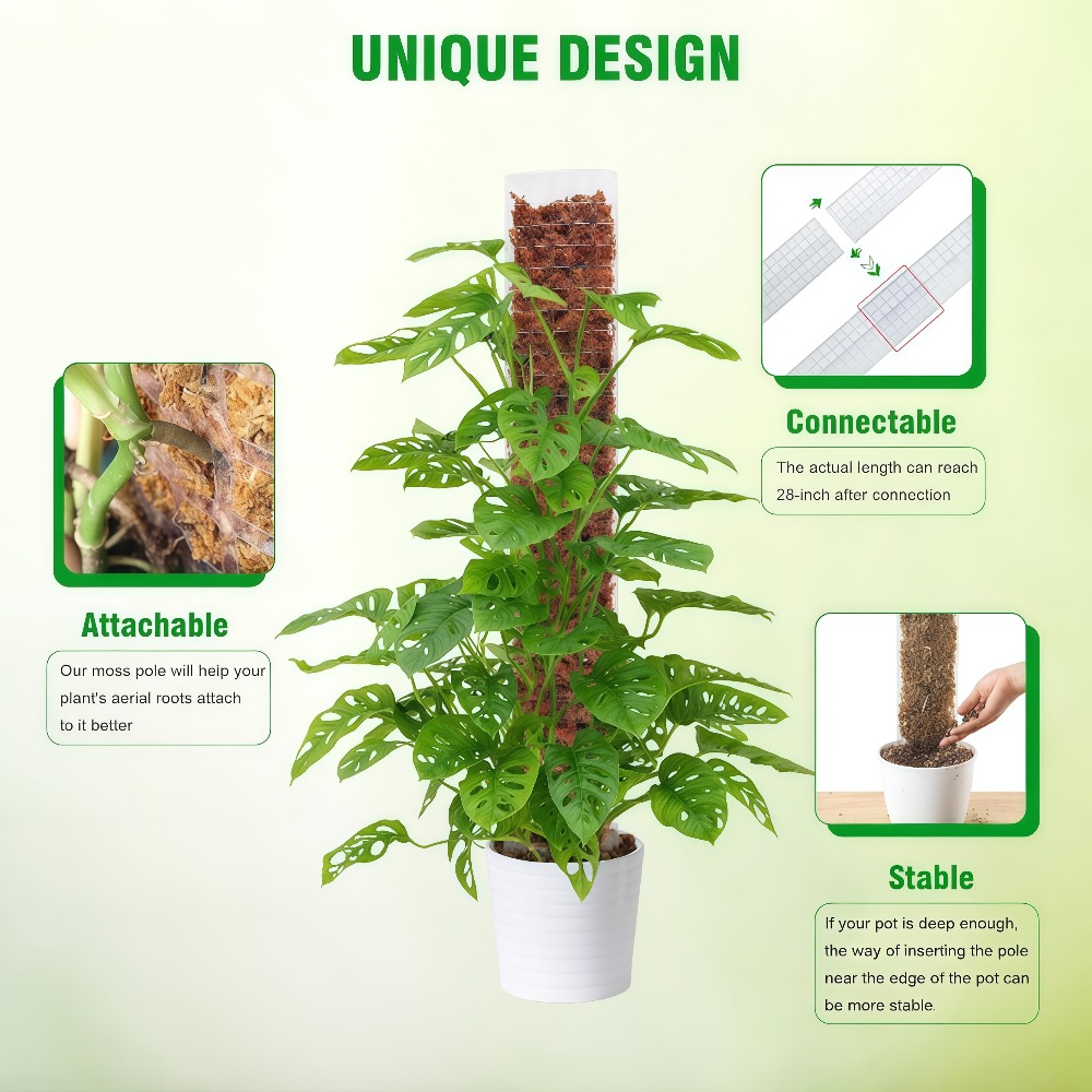 Plastikowy stojak na rośliny p – Sphagnum Moss Dry recenzja i cena